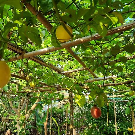 Anan Boutique Bungalows With Private Kitchen Phú Quốc Ngoại thất bức ảnh