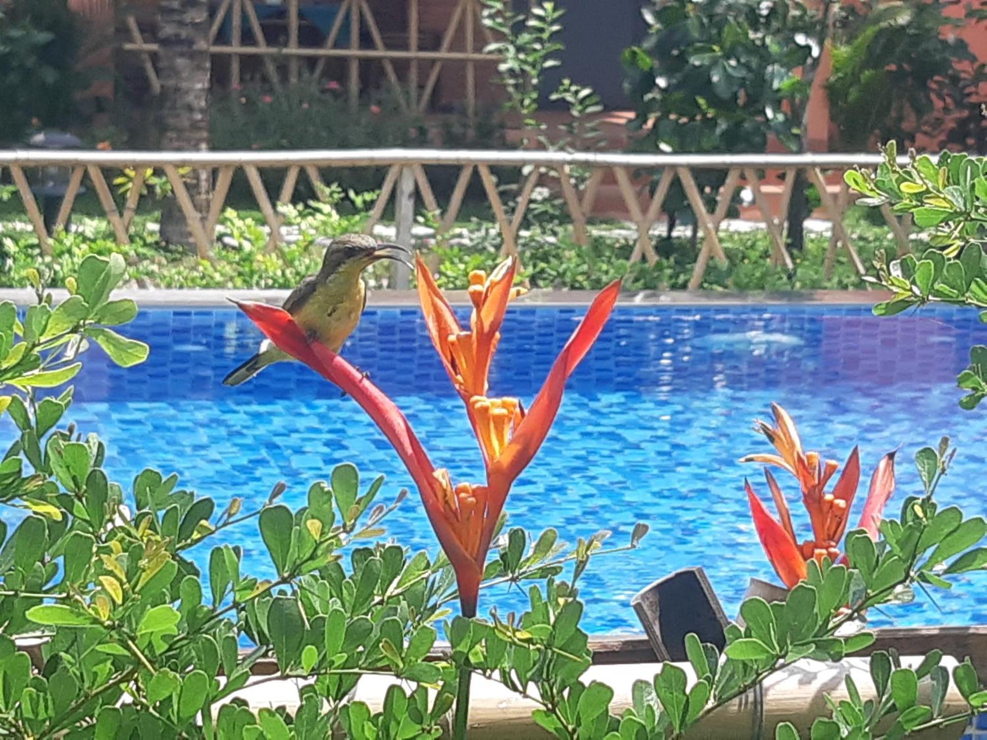 Anan Boutique Bungalows With Private Kitchen Phú Quốc Ngoại thất bức ảnh