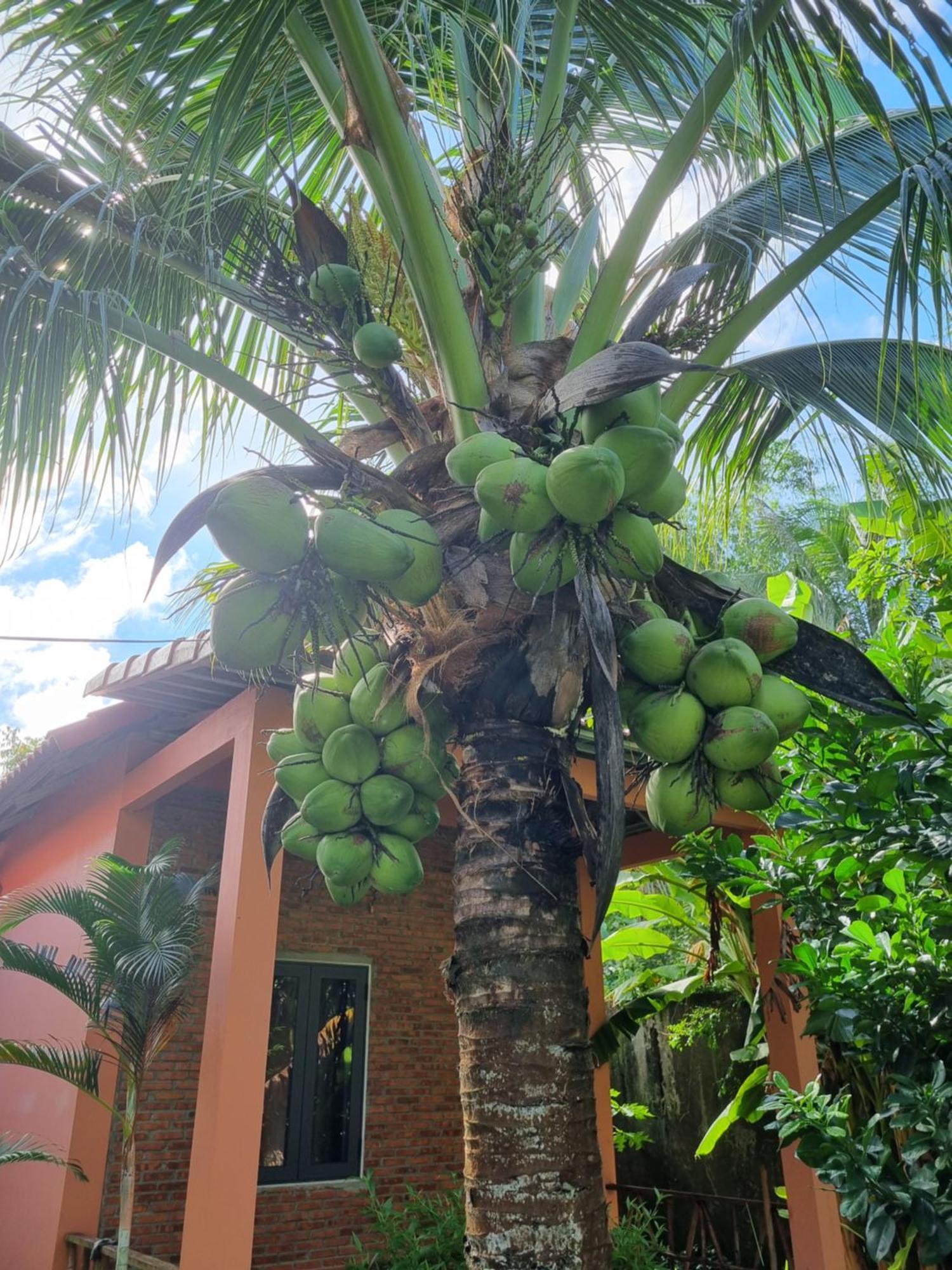 Anan Boutique Bungalows With Private Kitchen Phú Quốc Ngoại thất bức ảnh